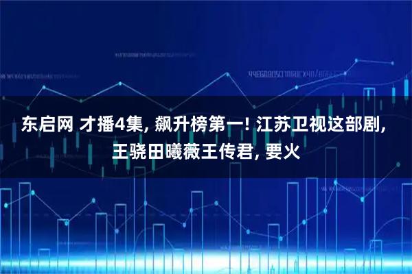 东启网 才播4集, 飙升榜第一! 江苏卫视这部剧, 王骁田曦薇王传君, 要火