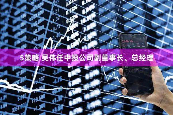5策略 吴伟任中投公司副董事长、总经理